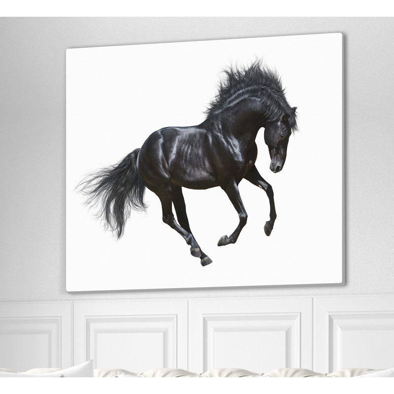 «Black Stallion in Motion», impression sur toile tendue, H 30 po x l 40 po x P 1,5 po