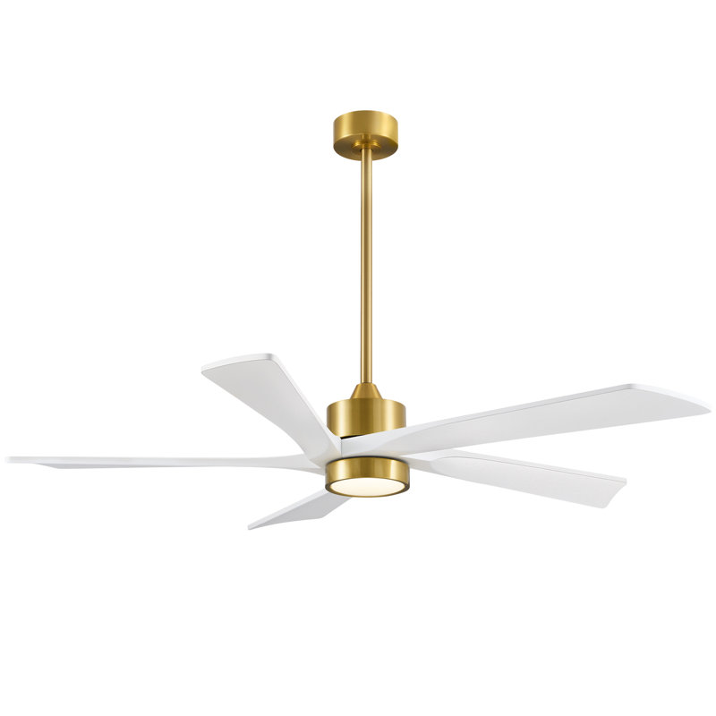Ventilateur de plafond 60 po à intensité variable moderne avec lumières DEL et télécommande, 60 po de largeur