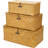 Small Shelf Baskets with Lid Set of 3