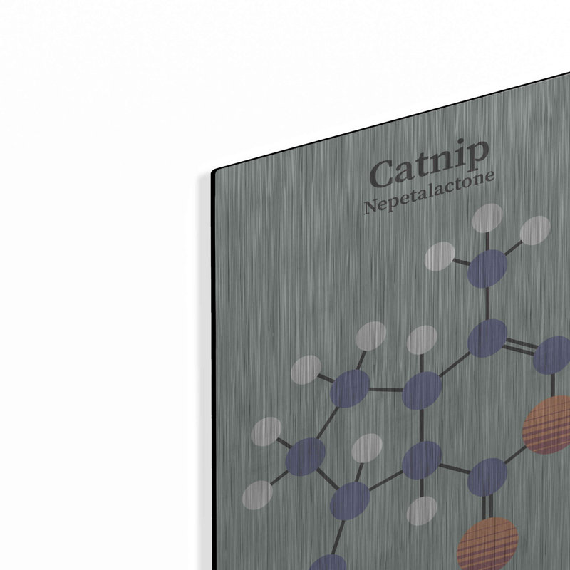 " Catnip Molecule 2 " by Maxim, 16" H x 12" W