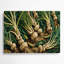 Légumes, art mural vert Arracacha-678842188