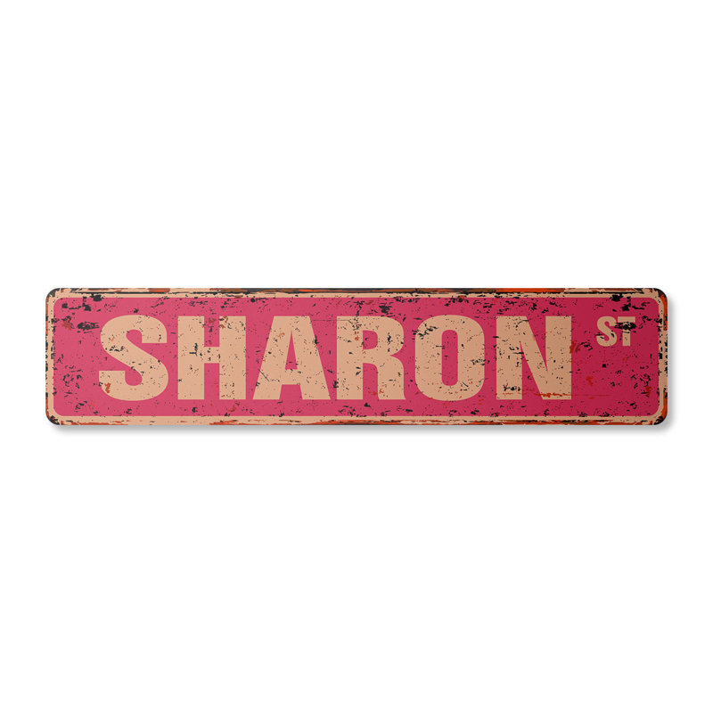 Plaque de rue Sharon en plastique robuste 4 po x 18 po