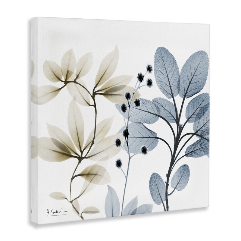 "Modern Herb Sprigs On Canvas" par Albert Koetsier, impression, H 24 po x l 24 po x P 1,5 po