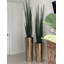 Faux Snake Plant (Sansevieria) Plant in Metal Planter-1019304357