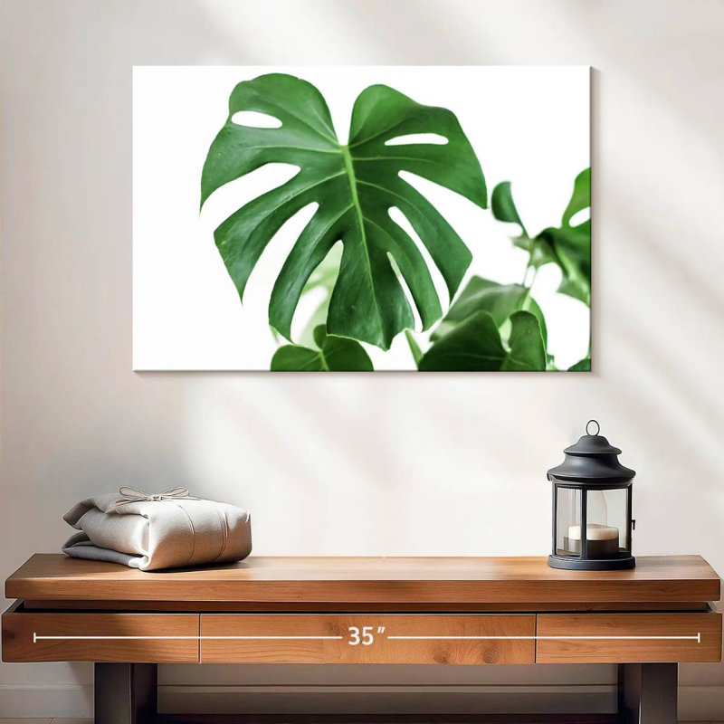 Feuille Harnek Monstera, H 16 po x l 24 po