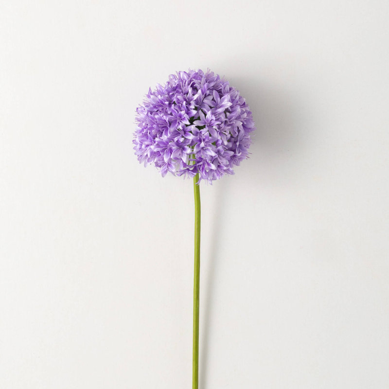 Allium Arrangement