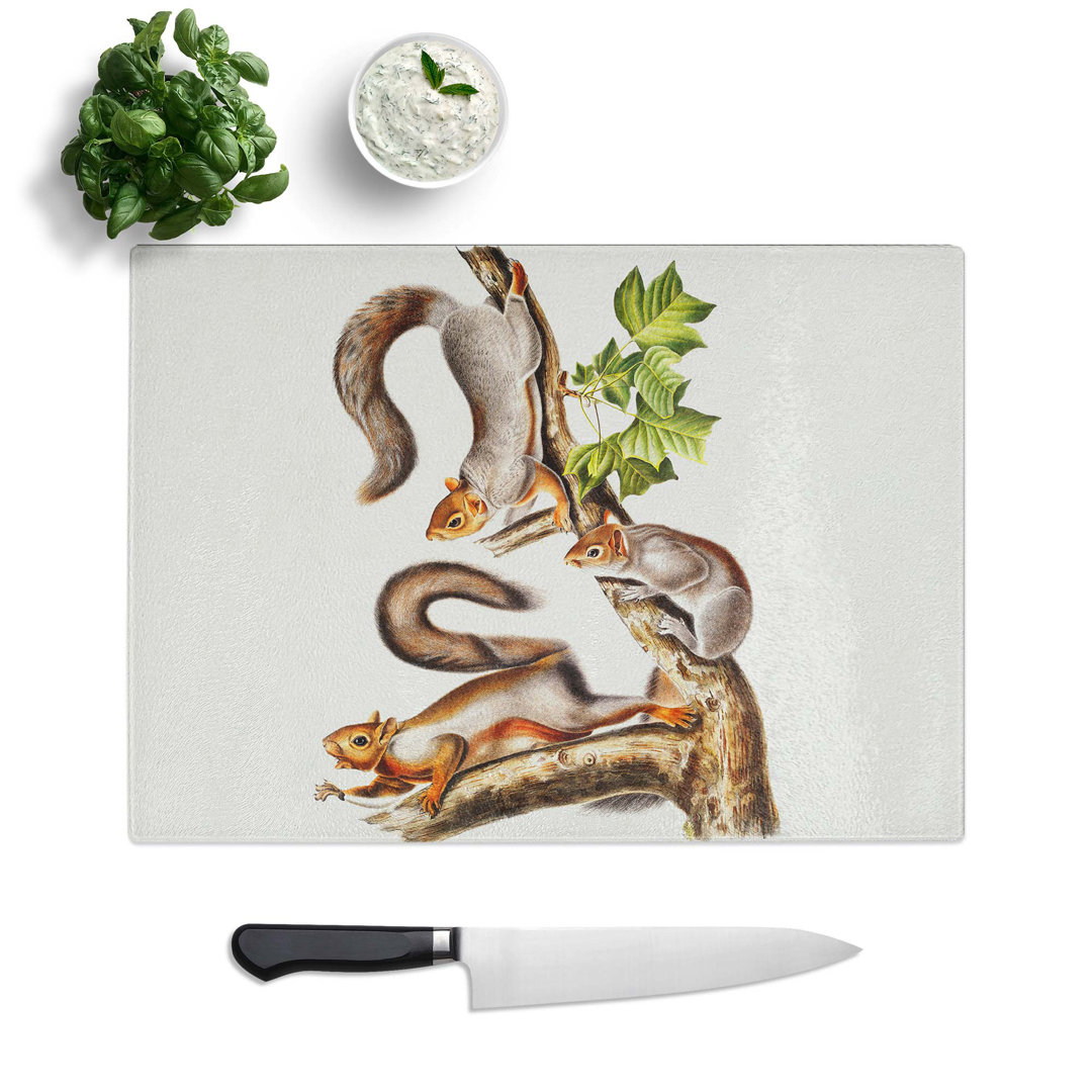 Glass Migratory Squirrels by J.W. Audubon Chopping Board
