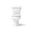 Wellworth™ 1.6 GPF Round Two-Piece Toilet (Seat Not Included)-101431820-10397122