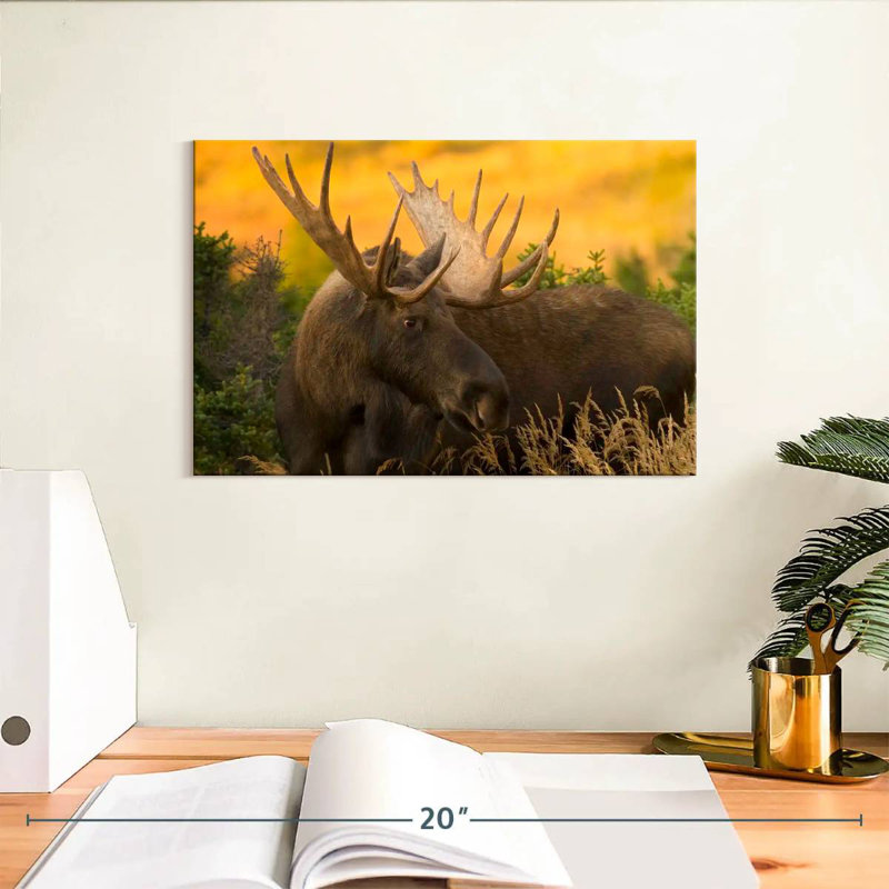 Chugach Bull Moose, 8" H x 12" W