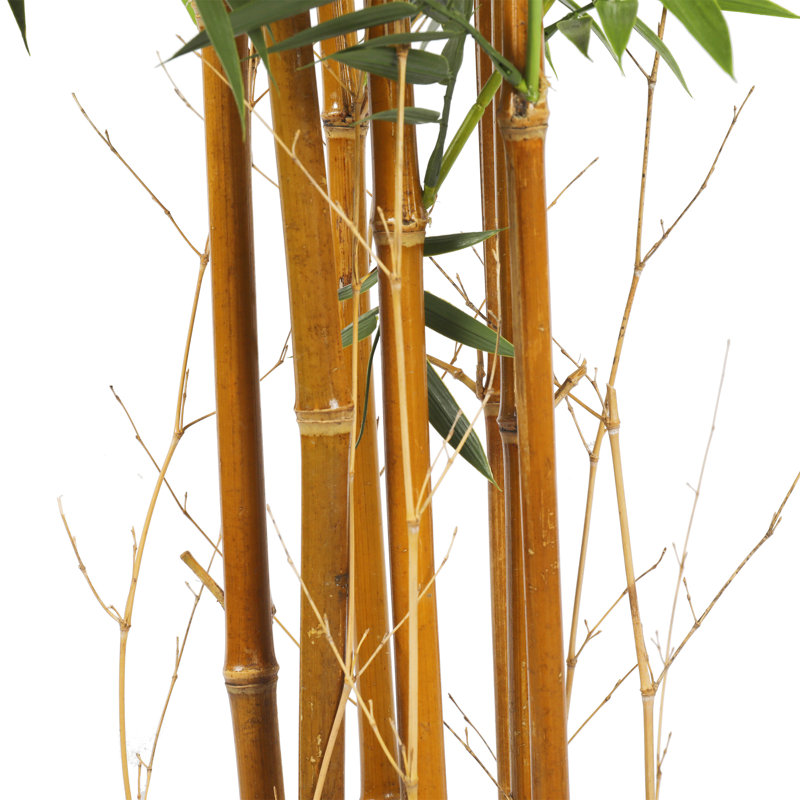 Faux Bamboo Tree in Pot, 72" H x 30" W x 30" D