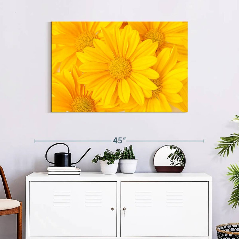 Marguerites jaunes Harnek, H 24 po x l 36 po