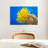 Brampt Yellow Feather Starfish-107847533