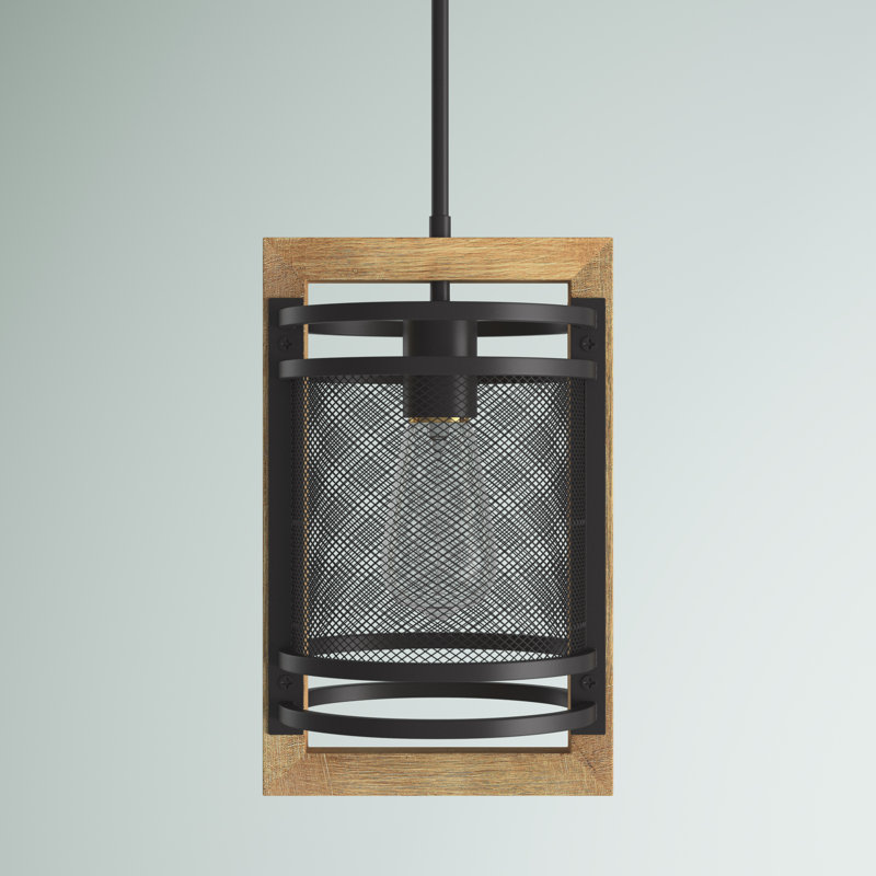 Luminaire suspendu rectangulaire à 1 lumière Shelton