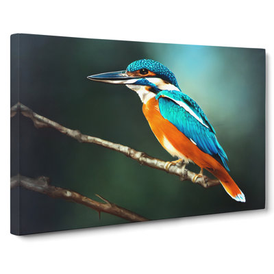 Unbeatable Kingfisher Bird - Wrapped Canvas