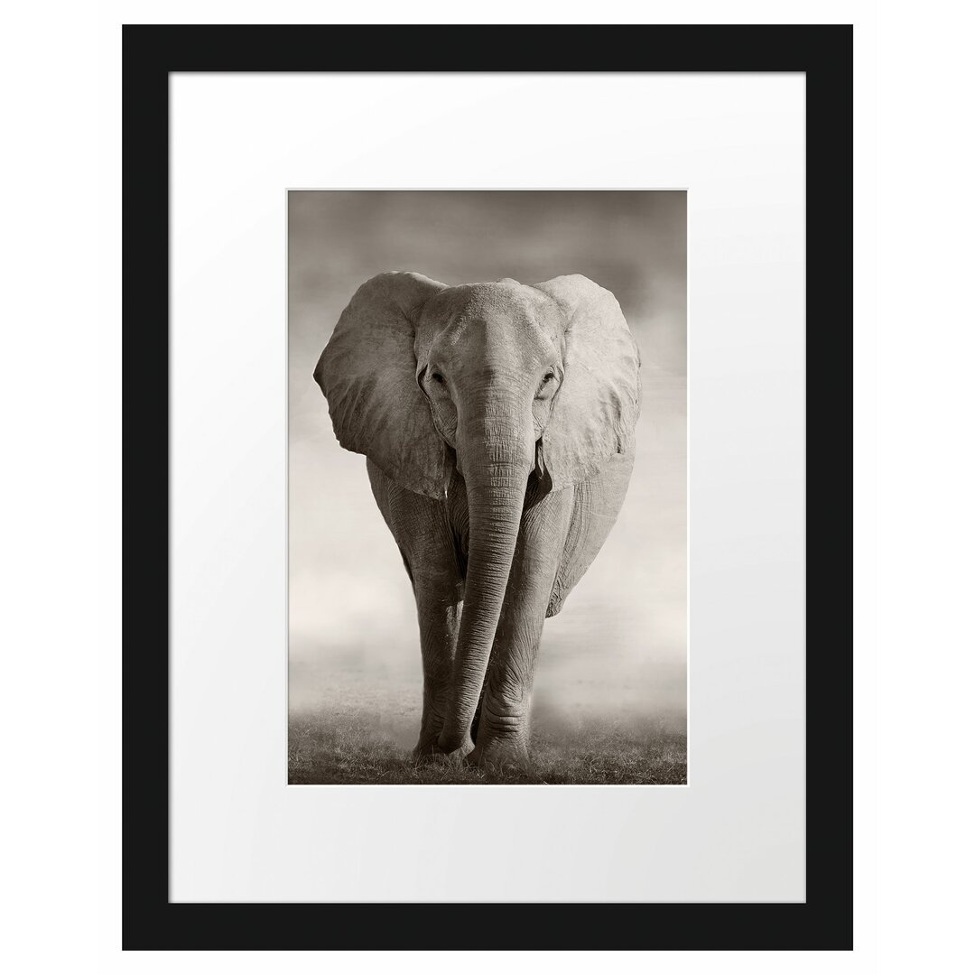 Gerahmtes Poster Elefant in Savanne