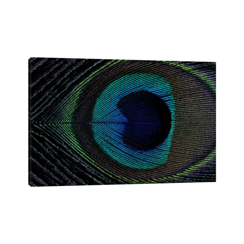Peacock Feather I by Alyson Fennell - Wrapped Canvas Painting, 20.32 cm H x 30.48 cm W