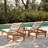 Scheiner 24'' Outdoor Acacia Chaise Lounge-507722089