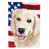 Golden retriever sélectionné