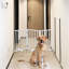 Clôture pour chien en bois blanc, PE, PP, 1 ensemble, pliable, portable, sécuritaire et sécuritaire