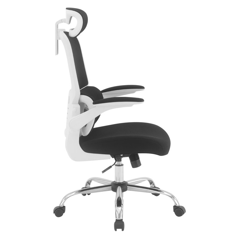 Orion Ergonomic Office Chair, Black, White