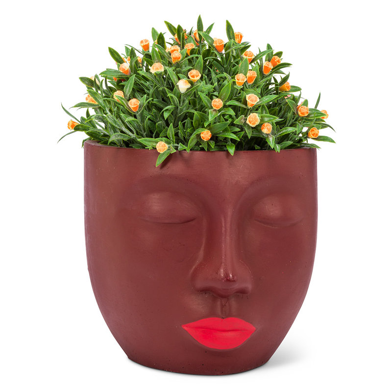 Pot à fleurs en ciment Granger, Marron