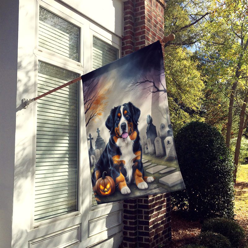 Double Sided 40'' H x 28'' W Polyester Halloween House Flag