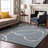 Premium Machine Washable Corum AMF999 Swirls Rug-847580003