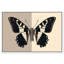 «Duality of a Monarch IV», reproduction d'art acrylique encadrée par Art Remedy, cadre doré, 15 x 10-628647680-628647690