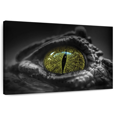 Brampt Green Eyed Crocodile