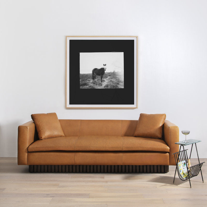 Blank Horse Print by Annie Spratt, 48" H X 48" W x 2.5" D