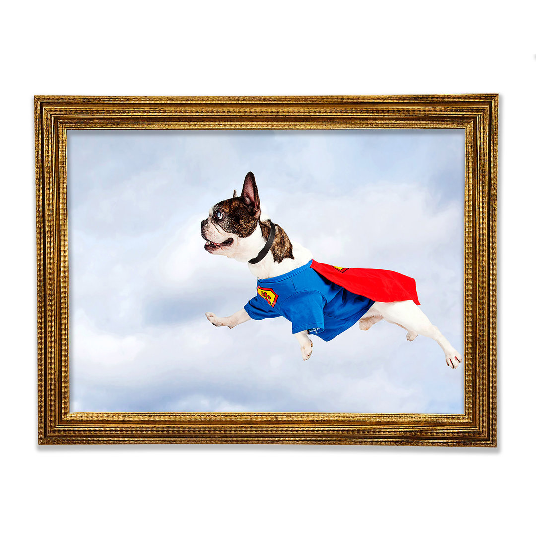 Gerahmtes Poster Super Dog Skies