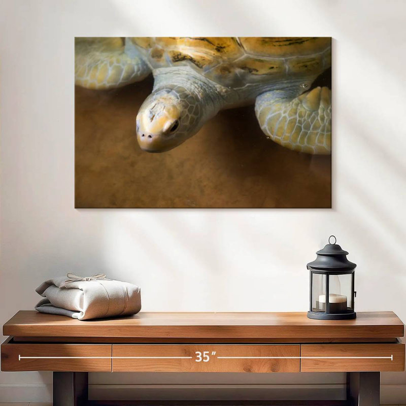 Stunning Turtle, 16" H x 24" W