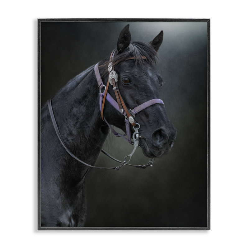 Pride Of The Pasture Horse, estampe numérique, conception de Kelley Parker, H 14 po x l 11 po, Giclée encadrée noir minuit
