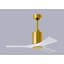 Patricia LED Downrod Ceiling Fan-1323428714-1248882459-1286615720