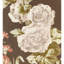 Upton Cotton Fabric-761618488