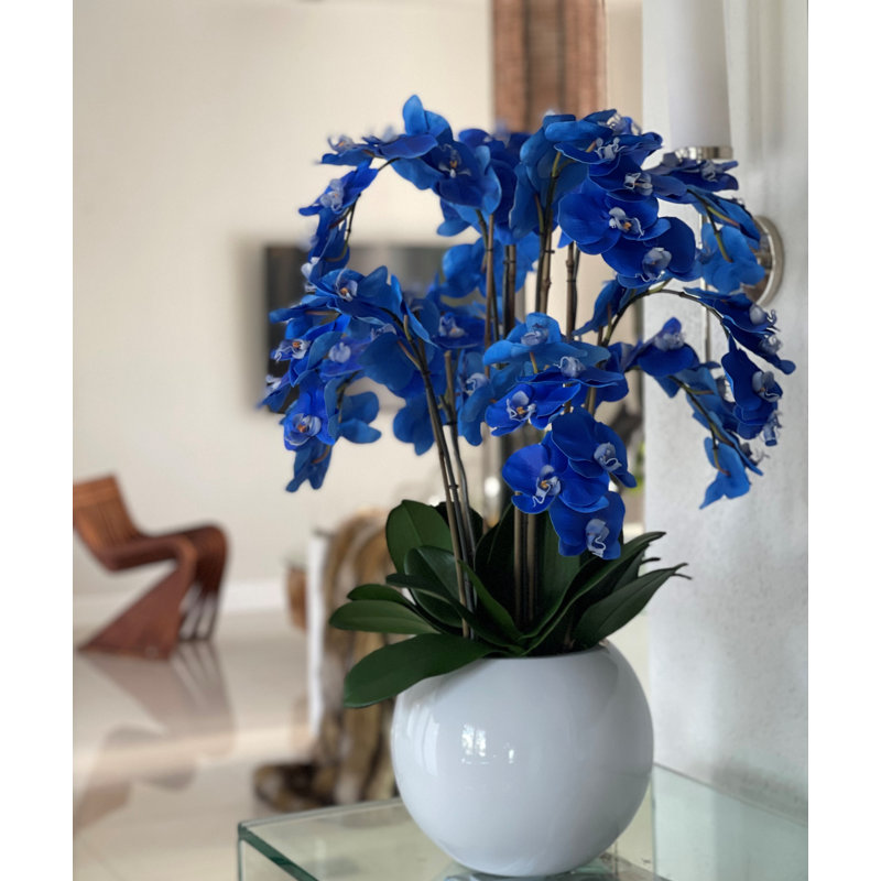 Phalaenopsis Orchid Floral Arrangement in Pot, Blue