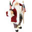 Père Noël américain