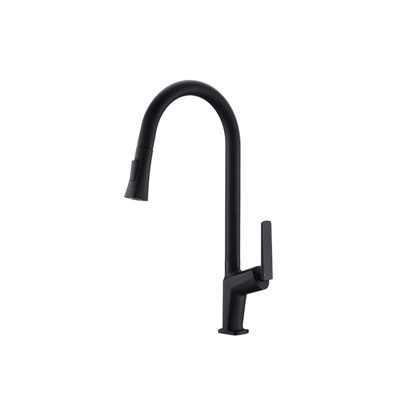 Robinet de cuisine AvaMalis, Noir mat