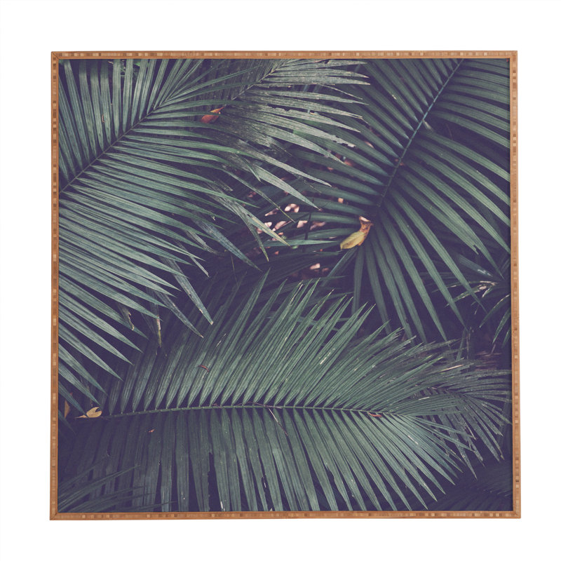 «Rainforest Floor» par Catherine McDonald - reproduction de photo sur bois encadrée, H 20 po x l 20 po x p 1 po