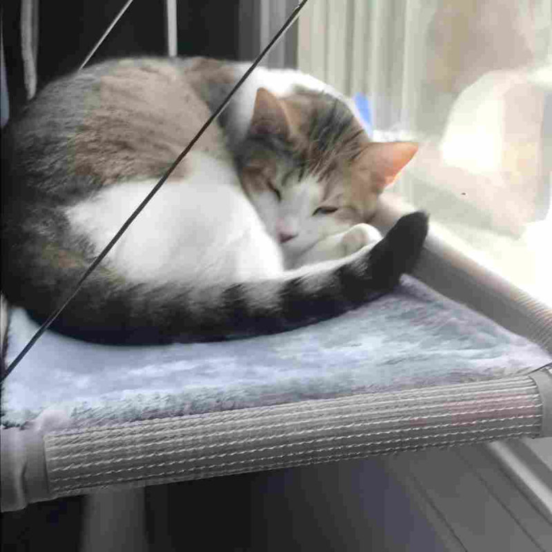 Hamac pour fenêtre pour chat - perchoir de fenêtre pour chats imperméable sans dégâts pour grands chats, hamac à ventouse robuste avec housse en flanelle, siège pour chat d'intérieur, beige
