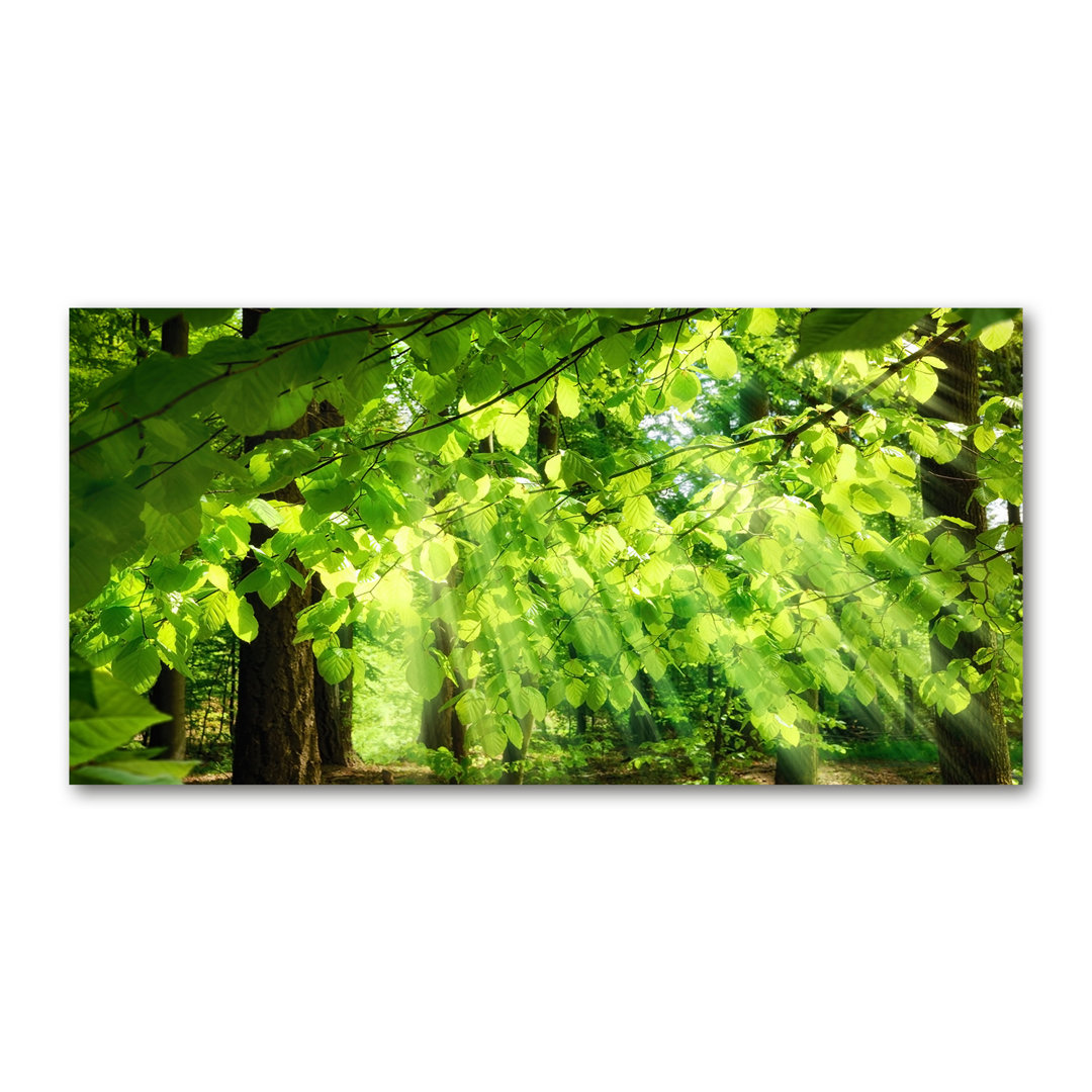 Beech Leaves - Kunstdrucke auf Leinwand - Wrapped Canvas