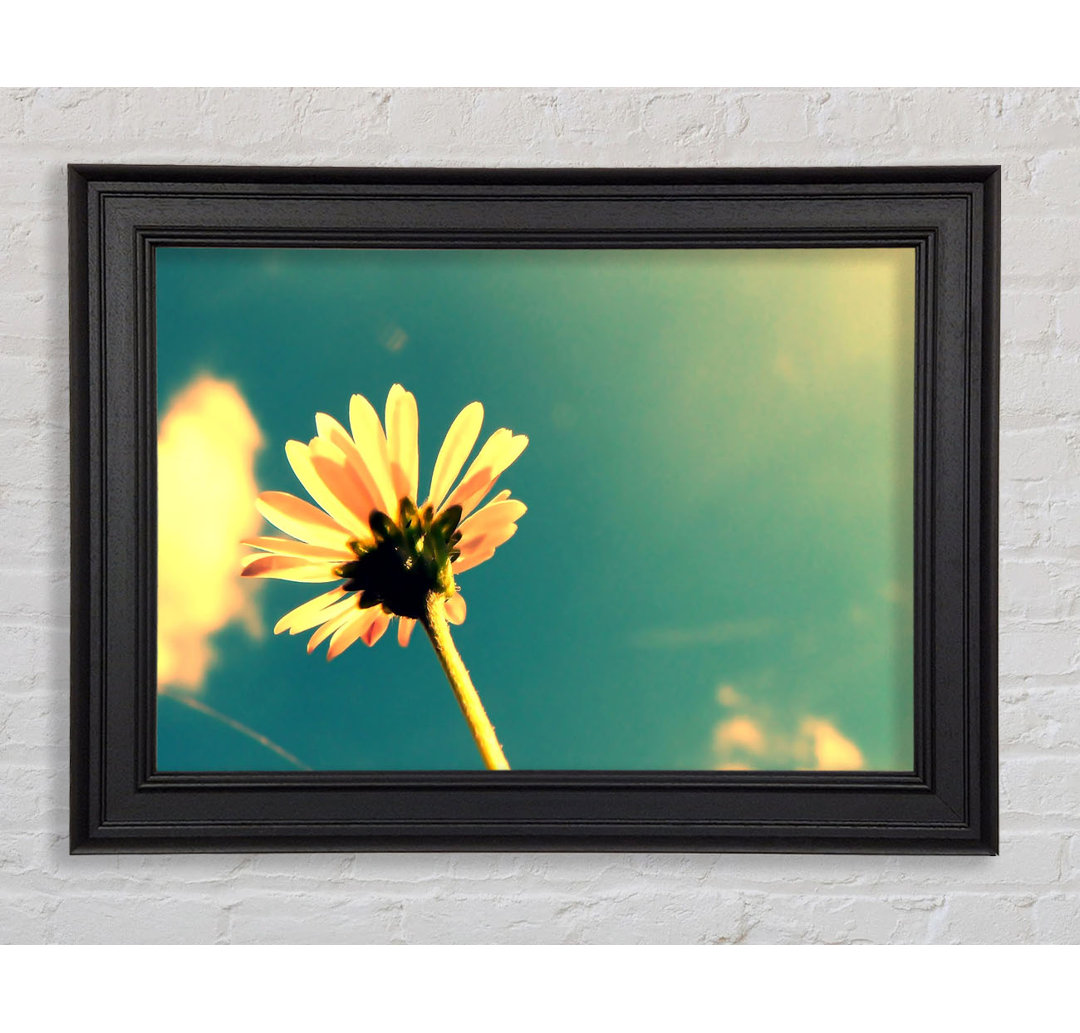 Gerahmtes Leinwandbild Summer Flower Retro Sunshine