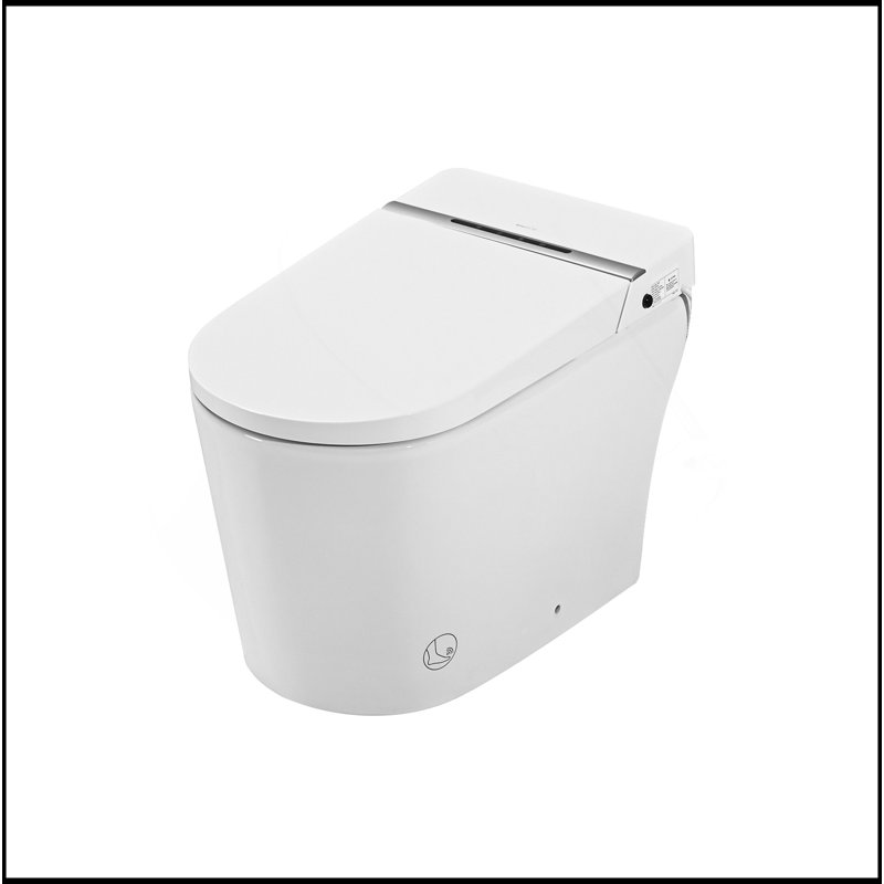 Combinaison de bidet de toilette intelligente avec couvercle / siège ouvert avec capteur de pied, affichage à DEL, buse autonettoyante, siège chauffant, veilleuse, commande à bouton, fermeture douce, chasse automatique, avec télécommande