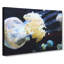 Jellyfish Vol.3 - Wrapped Canvas-61854311