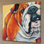 « english bouledogue », reproduction d’art sur toile tendue-72158395