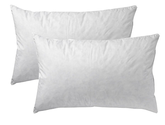 Luxury Goose Feather And Down Pillow Pair