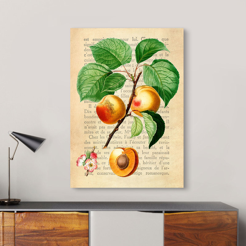 Apricot, After Redouté by Remy Dellal - Wrapped Canvas Art Prints, 70cm H x 50cm W x 4cm D