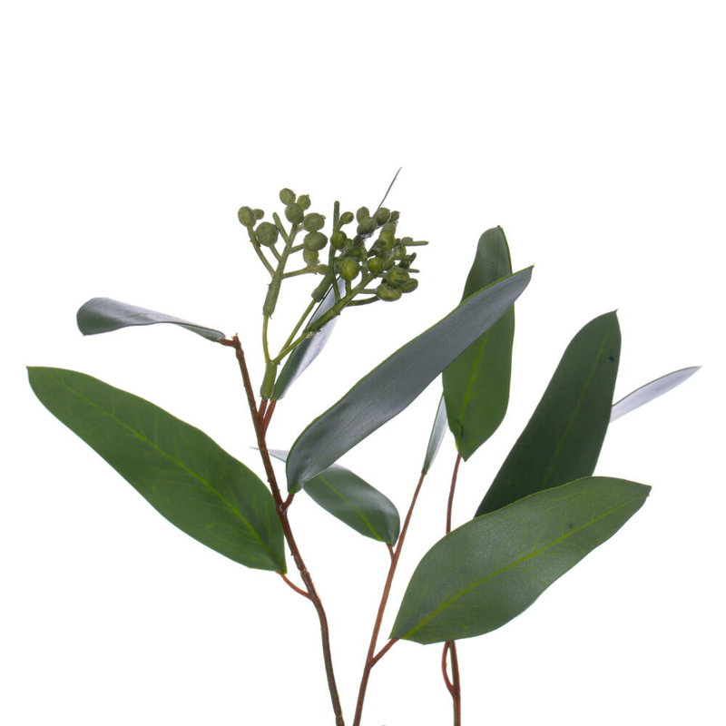Faux Eucalyptus Polyester Wreath, 24" H x 6" W x 24" D