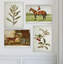 «Vintage Equesitrian and Floral Mix», ensemble de 4 reproductions d'art sur toiles-1731117338