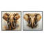 Éléphant «Grace In Portrait» - ensemble de 2 animaux éléphants carrés-649729872-649729883